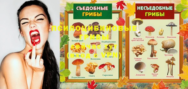 герыч Сосновка