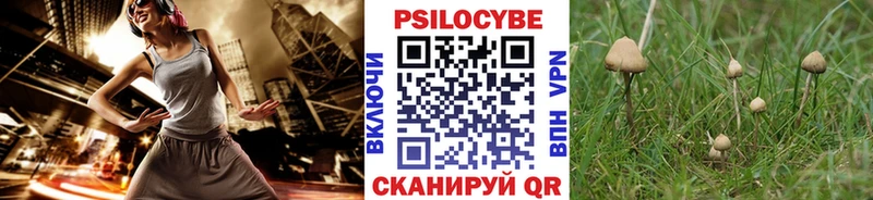 Галлюциногенные грибы мицелий  Спас-Деменск 